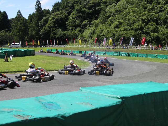 photo_29